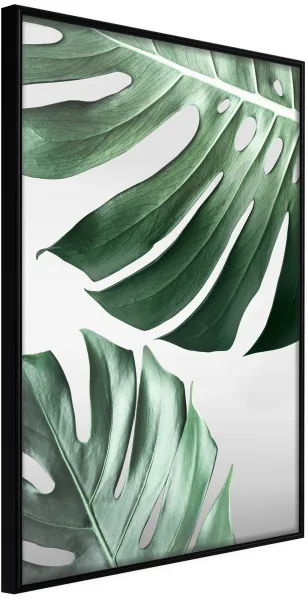 ARTGEIST Plakat med ramme - Leaves Like Swiss Cheese Sort 30x45